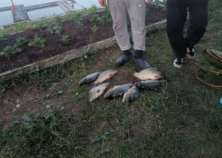 Продажа офиса  